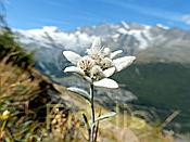 Nikon Z6 Nikkor 80-400mm